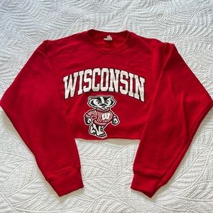 Wisconsin Cropped Sweatshirt